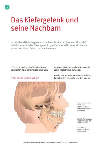 Gesunder Kiefer | yogaguide Buchtipp Gesunder Kiefer | yogaguide Buchtipp