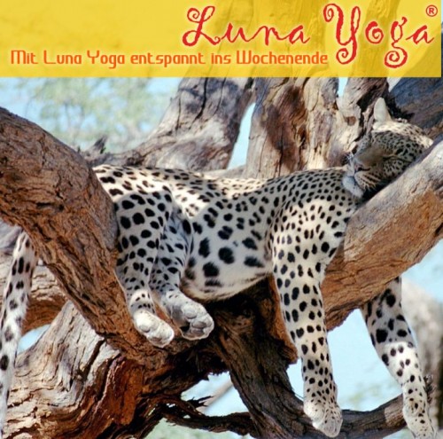 Mit Luna Yoga entspannt ins Wochenende | Susi Zahnt | Yoga Guide Mit Luna Yoga entspannt ins Wochenende | Yoga Guide