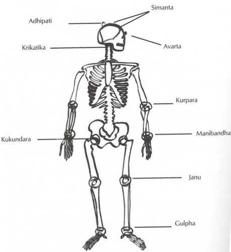 Die Gelenks-Marmas im neuen Buch von Heidrun Ruff