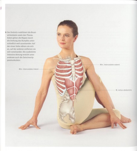 Drehsitz Medical Yoga Trias Verlag | Yoga Guide