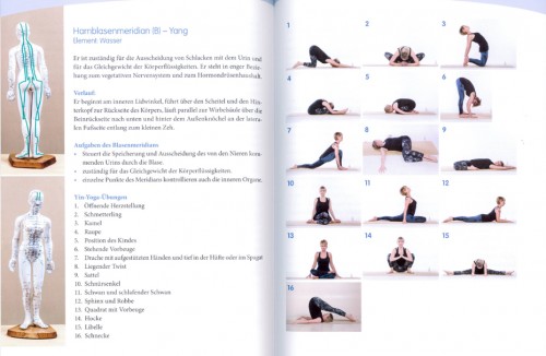 Mental Yin Yoga | Verlag Via Nova | yogaguide