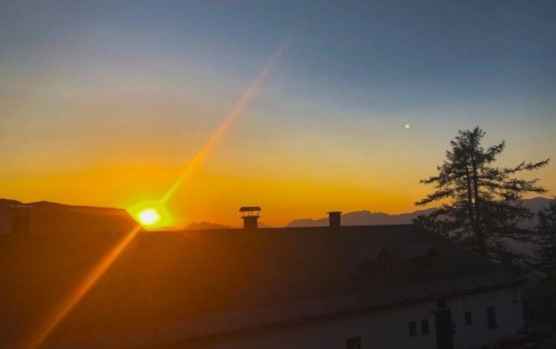 Mindful Sundower| yogaguide Tipp Mindful Sundower| yogaguide Tipp