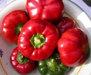 Yoga und Ernährung | Paprika und Chili Arche Noah Patente auf Saatgut | Yoga Guide