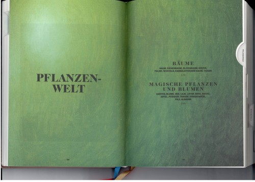 Das Buch der Symbole | Pflanzenwelt | Yogabuch Rezension