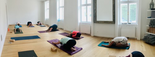 Yogamotion Klosterneuburg| Yogaguide
