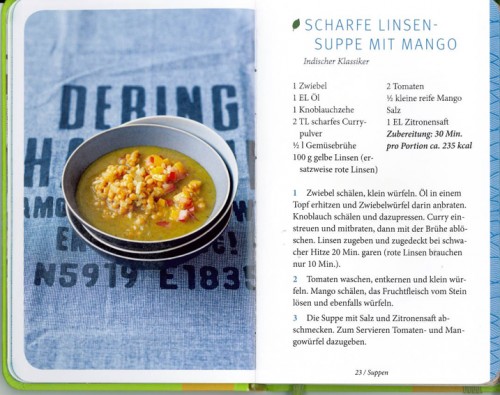 Handtaschen Kochbuch Vegetarisch | Yoga Guide Scharfe Linsensuppe | Handtaschenkochbuch | Yoga Guide