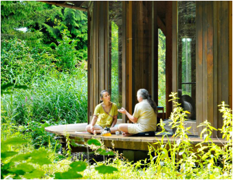 NuadYoga Summer Retreat | Die Lichtung| Yoga Guide NuadYoga Summer Retreat | Die Lichtung| Yoga Guide