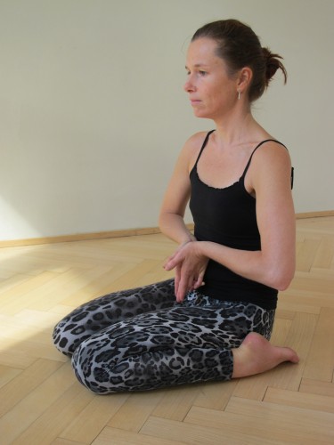 Shadow-Yoga Wochenend-Workshop Wien | yoga guide Shadow-Yoga Wochenend-Workshop Wien | yoga guide