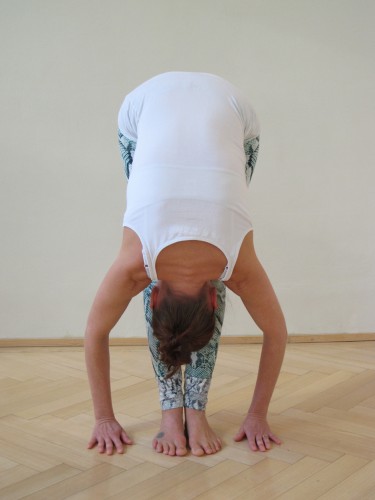 Shadow Yoga Sabine Irawan | yogaguide Shadow Yoga Sabine Irawan | yogaguide