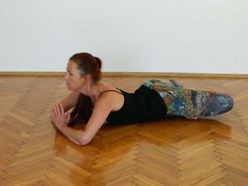Shadow Yoga Workshop Wien | Yoga Guide