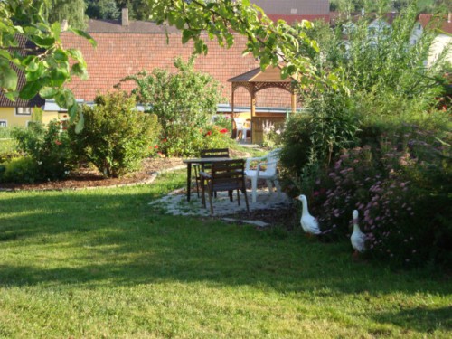 Strohmayerhof Rastenfeld | yogaguide Strohmayerhof Rastenfeld | yogaguide