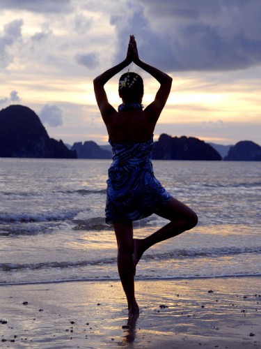 Sun Fun Yoga Andy Jackson Thailand | yogaguide Sun Fun Yoga Andy Jackson Thailand | yogaguide