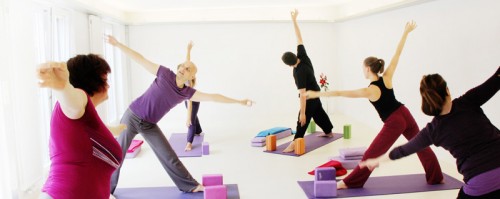 TriYogaVienna_3StundenFlow_yogaguide