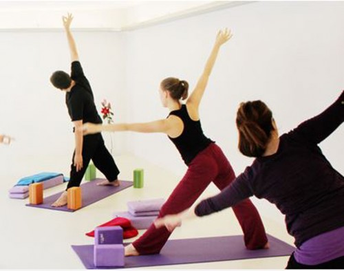 Tanja_Hoesl TriYoga Seminar Linz | yogaguide