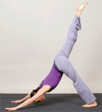 Erstes 
TriYoga-Center in Wien | yogaguide.at | Yoga Guide