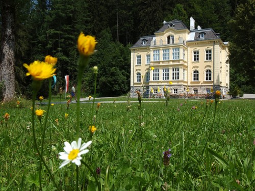 Sommer-Yoga-Seminare | Villa Sonnwend Nationalpark Kalkalpen | yogaguide