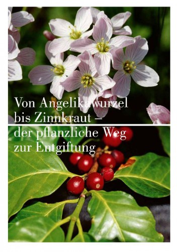 Entgiften mit Heilkräutern Margret Madejsky | yogaguideAT Tipp Entgiften mit Heilkräutern Margret Madejsky | yogaguideAT Tipp