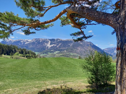 Yoga u Wandern in Payerbach Rax | YogaInspiration Yoga u Wandern in Payerbach Rax | YogaInspiration