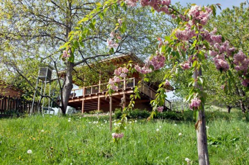 Weingut Tauss Haus der Stille | yoga-location-guide