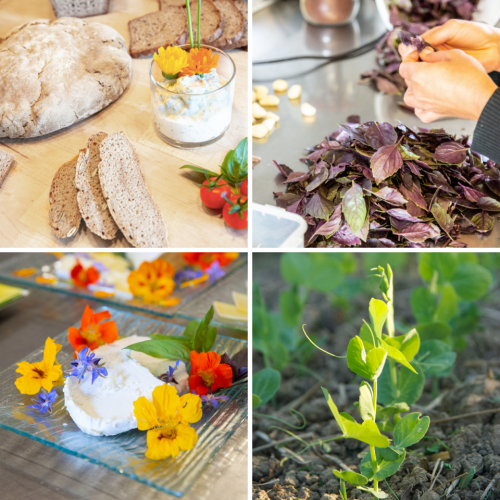 Womens Summer Retreat | yogaguide Womens Summer Retreat | yogaguide