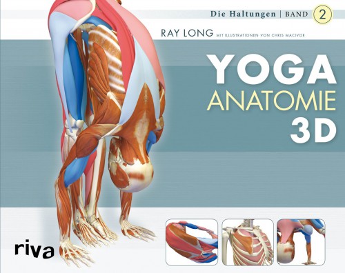 Yoga-Anatomie 3D Band 2 | yogaguide Tipp