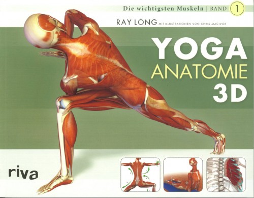 Yoga Anatomie 3D | yogaguide Yogabuch 2010