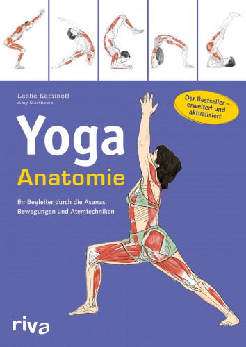 Yoga Anatomie Leslie Kaminoff | yogaguide Tipp