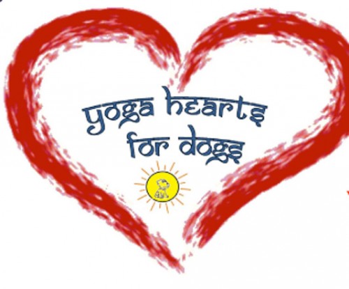 Yogahearts for dogs | Yoga Charity project | Yoga Guide 