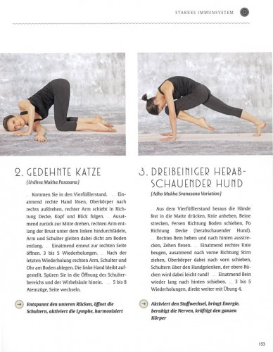 YogaKitchen Yogauebungen | yogaguide YogaKitchen Yogauebungen | yogaguide