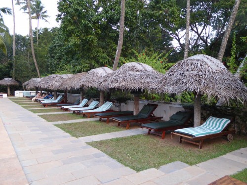 Yogareise Kerala Indien | ayurvedaforhealth | yogaguide Yogareise Kerala Indien | ayurvedaforhealth | yogaguide