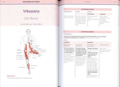 Yoga-Anatomie von Leslie Kaminoff | yogaguide Buchtipp
