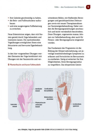 Yoga für gesunde Füsse innen | yogaguide