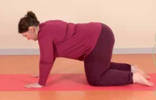 Yoga für Übergewichtige |Yoga Guide Buchrezension
