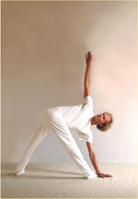 Die Seelendimension des Yoga | Heinz Grill | Yoga Guide