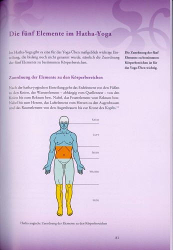 Yoga typgerecht | Welches Yoga passt zu mir? | Yoga Guide