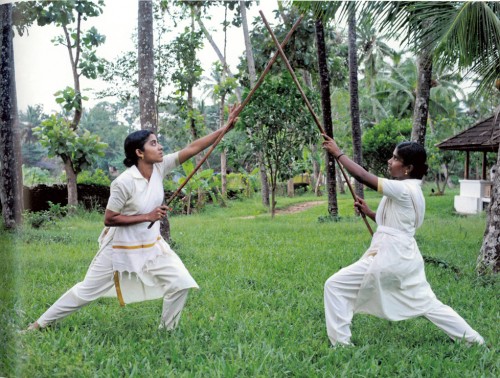 Yoga Ayurveda Kalari Kovilakom the palace of Ayurveda in India | Yoga Guide