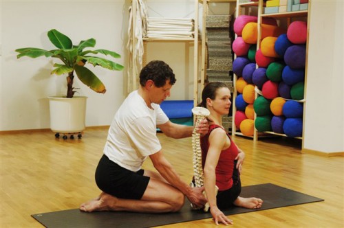 Yoga und Spiraldynamik | Yoga Guide