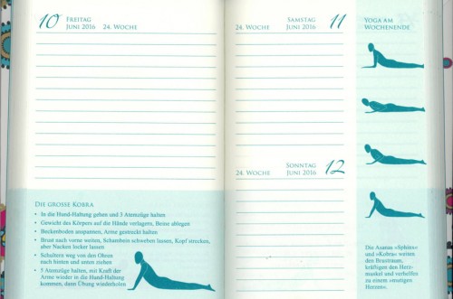 Yogakalender 2016 Feliz Carrasco | Kerscher | yogaguide Yogakalender 2016 Feliz Carrasco | Kerscher | yogaguide
