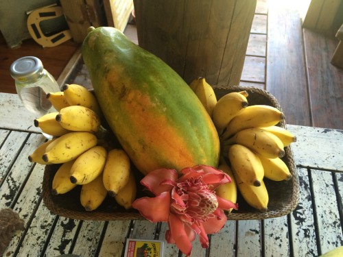 Yogareise Seychellen | yogaguide Yogareise Seychellen | yogaguide