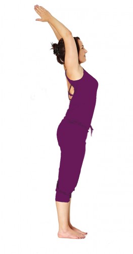 Yogaschule Ayas | YogaLehrAusbildung | yogaguide Yogaschule Ayas | YogaLehrAusbildung | yogaguide