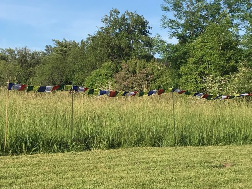sunspirit Yogatage am Irrsee | yogaguide Tipp sunspirit Yogatage am Irrsee | yogaguide Tipp
