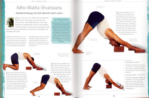 BKS Iyengar Yoga | Yoga Guide