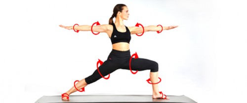 Was ist Spiraldynamik | YogaGuide News Yoga und Spiraldynamik | Yoga Guide