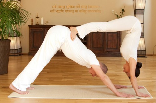 YogaPraxis Mag. Martina Sommer-Goldammer und Dr. med. Andreas Goldammer | yogaguide