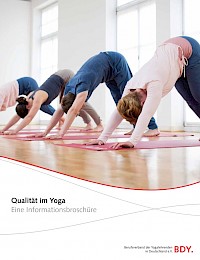 Qualität im Yoga Broschüre des Deutschen Yogaverbandes