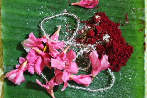 ANANDA Yogalehrausbildung | yogaguide ANANDA Yogalehrausbildung | yogaguide
