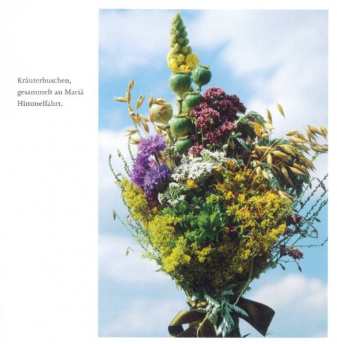 Kraeuterbuschen_Heilmittel_Sonne - Buchtipp Yogaguide Kraeuterbuschen_Heilmittel_Sonne - BuchtippYogaguide