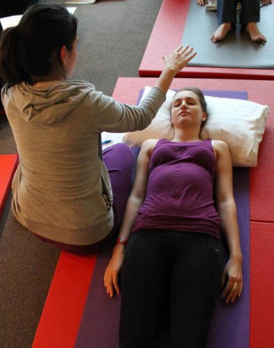 Workshop Understanding Emotion Energy in the Body Robert Henderson Workshop Understanding Emotion Energy in the Body_Robert | yogaguide