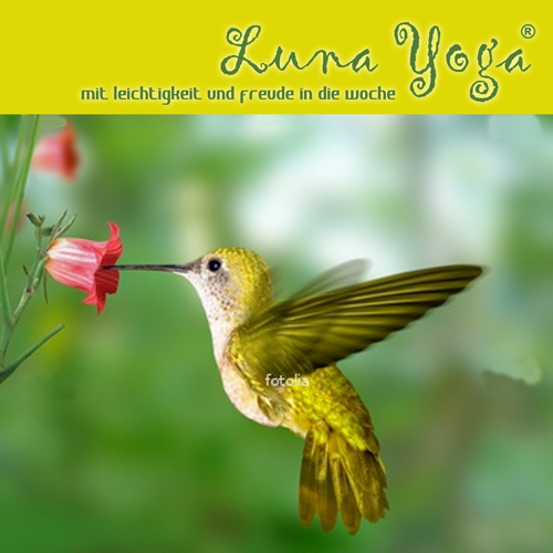 Luna Yoga | Susi Zahnt | Yoga Guide Luna Yoga | Mit Leichtigkeit u Freude in die Woche | Yoga Guide
