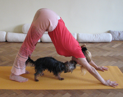 Doga mit Gerlinde Fennes Yogastudio Sattva